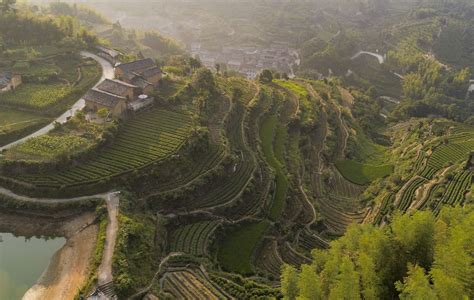 溫州哪裏有馬場：探索城市與自然的交匯點